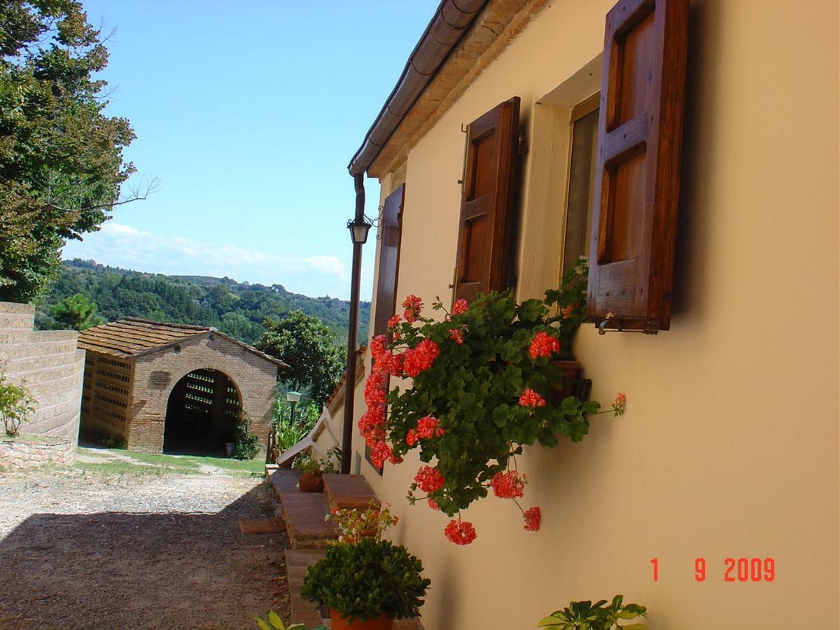 Villa Fattoria Casanova Palaia Exterior foto